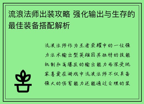 流浪法师出装攻略 强化输出与生存的最佳装备搭配解析